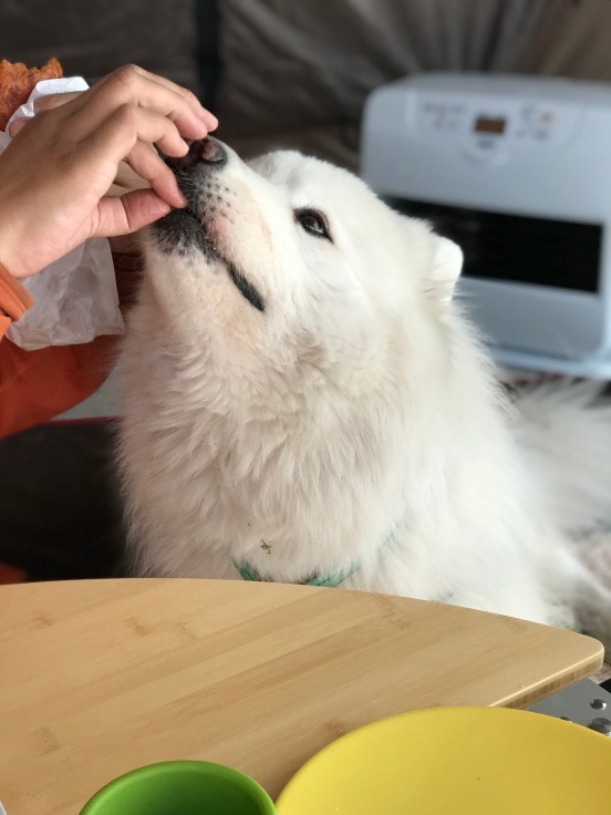 f0234023_20572426.jpeg