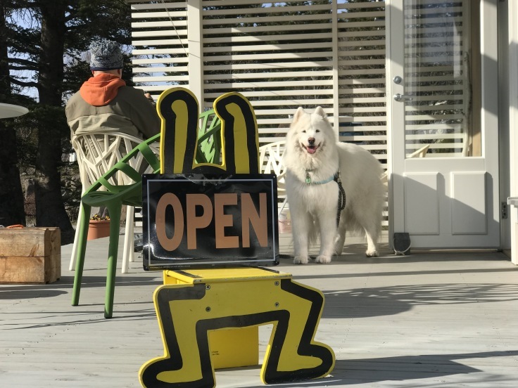 f0234023_20590353.jpeg