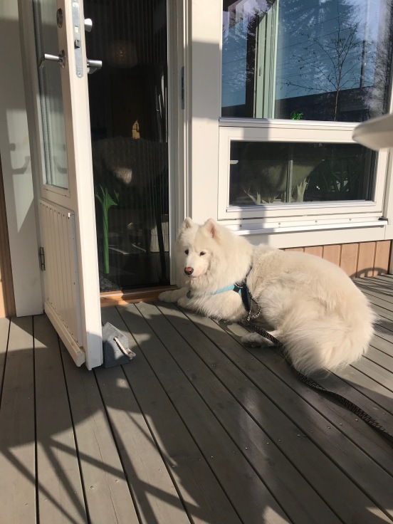 f0234023_20592513.jpeg