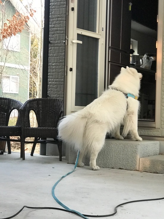 f0234023_20594473.jpeg