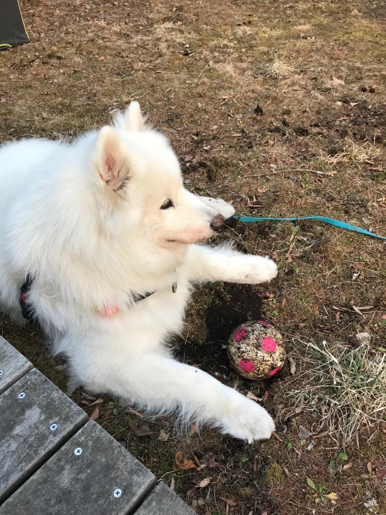 f0234023_21001174.jpeg
