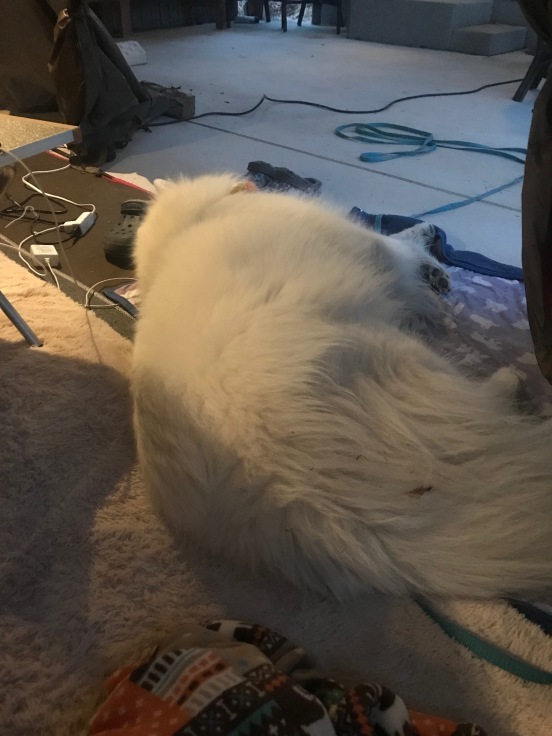 f0234023_21003182.jpeg