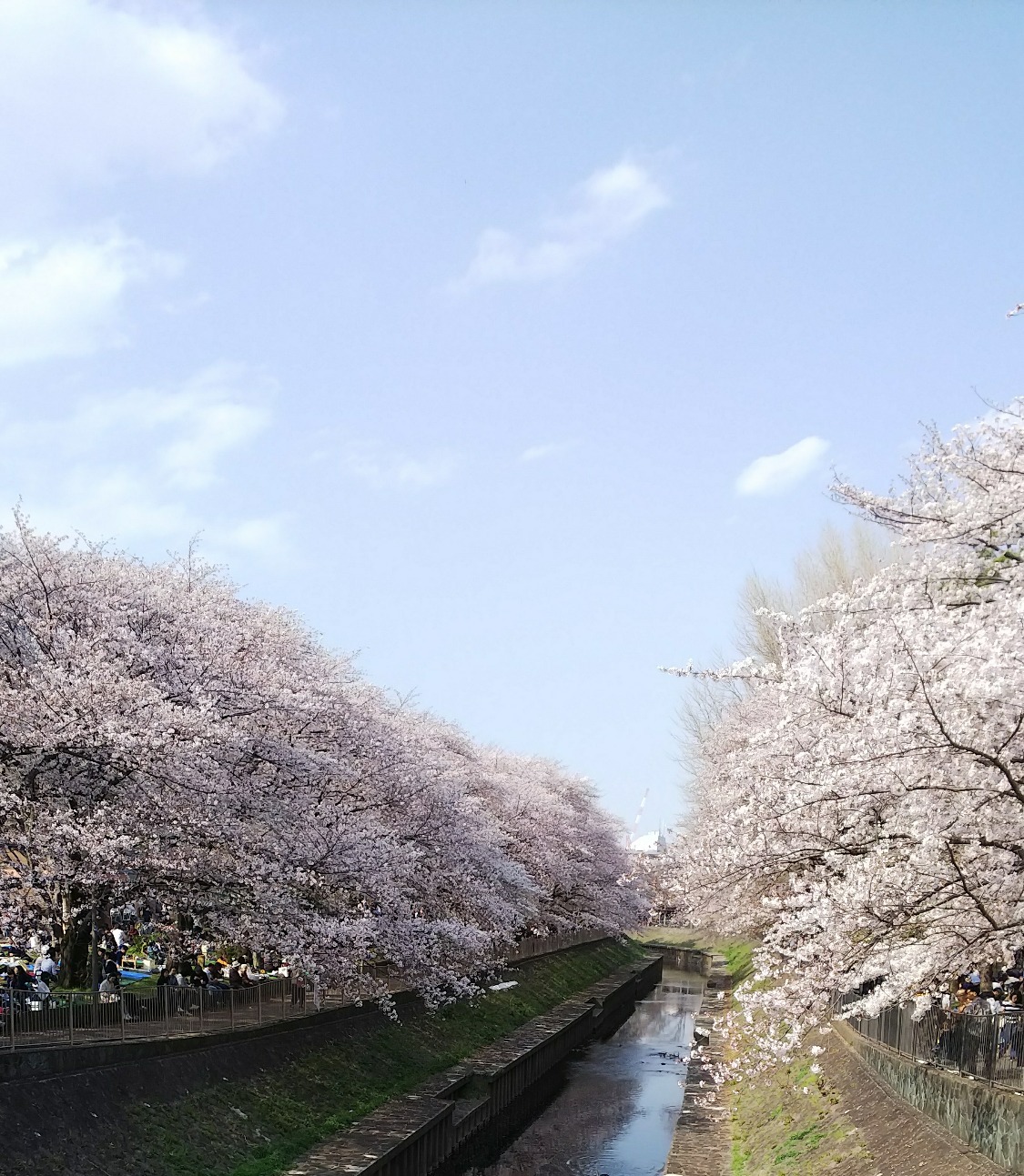 f0050625_11583989.jpg