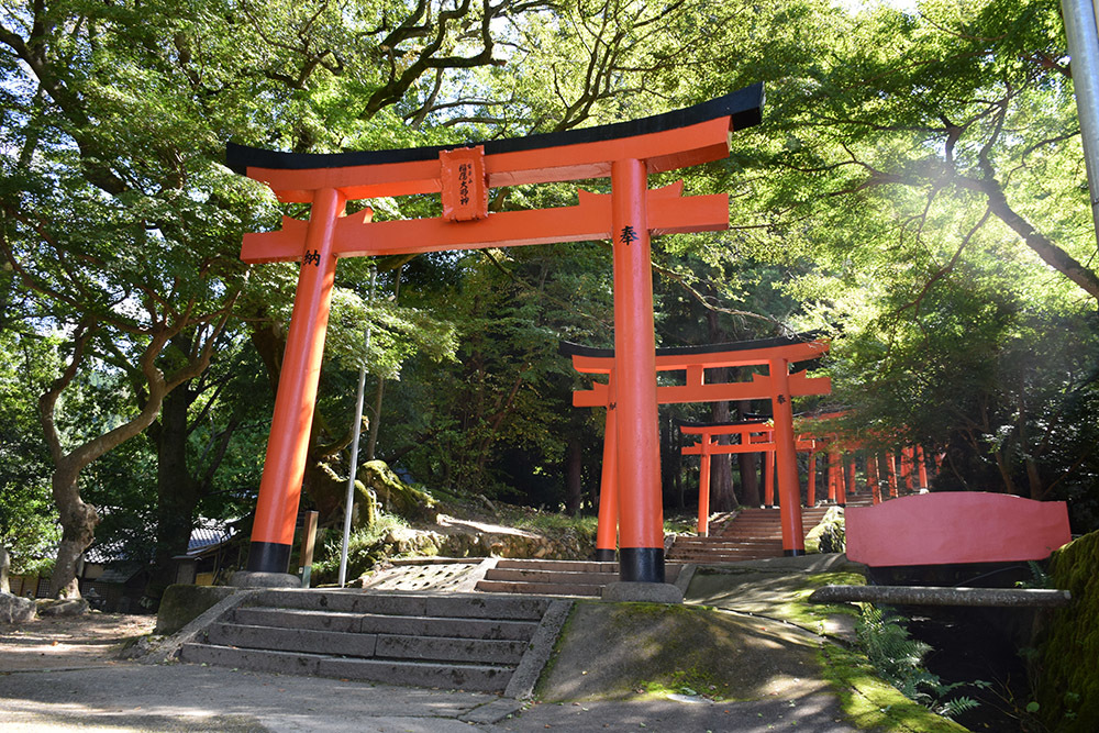 有子山城跡と出石城跡登城記。 その1 ~有子山城登山道~_e0158128_16474775.jpg