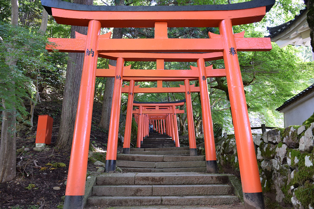 有子山城跡と出石城跡登城記。 その1 ~有子山城登山道~_e0158128_16475034.jpg