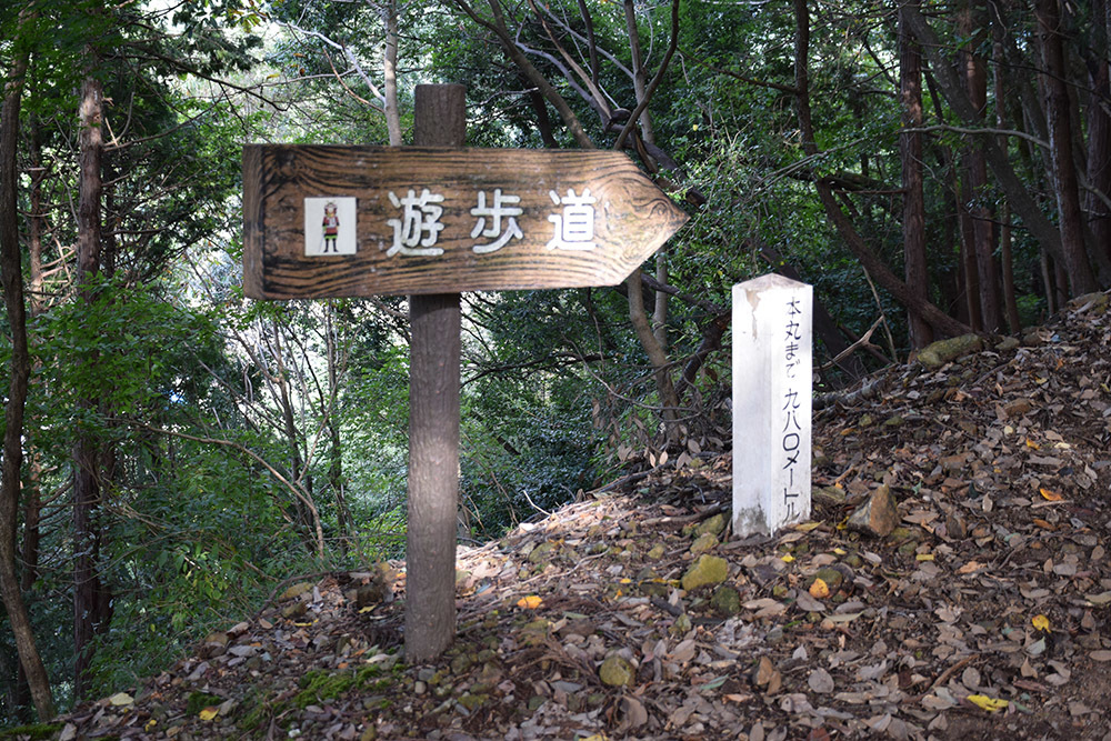有子山城跡と出石城跡登城記。 その1 ~有子山城登山道~_e0158128_16524675.jpg