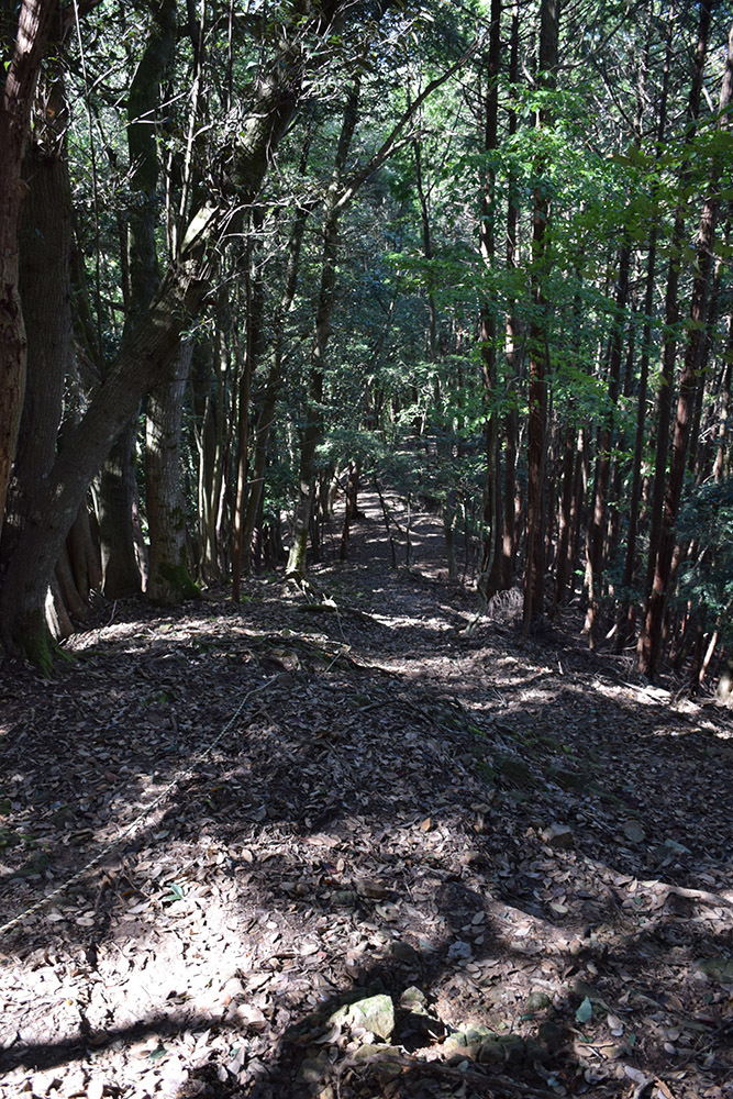 有子山城跡と出石城跡登城記。 その1 ~有子山城登山道~_e0158128_16545481.jpg
