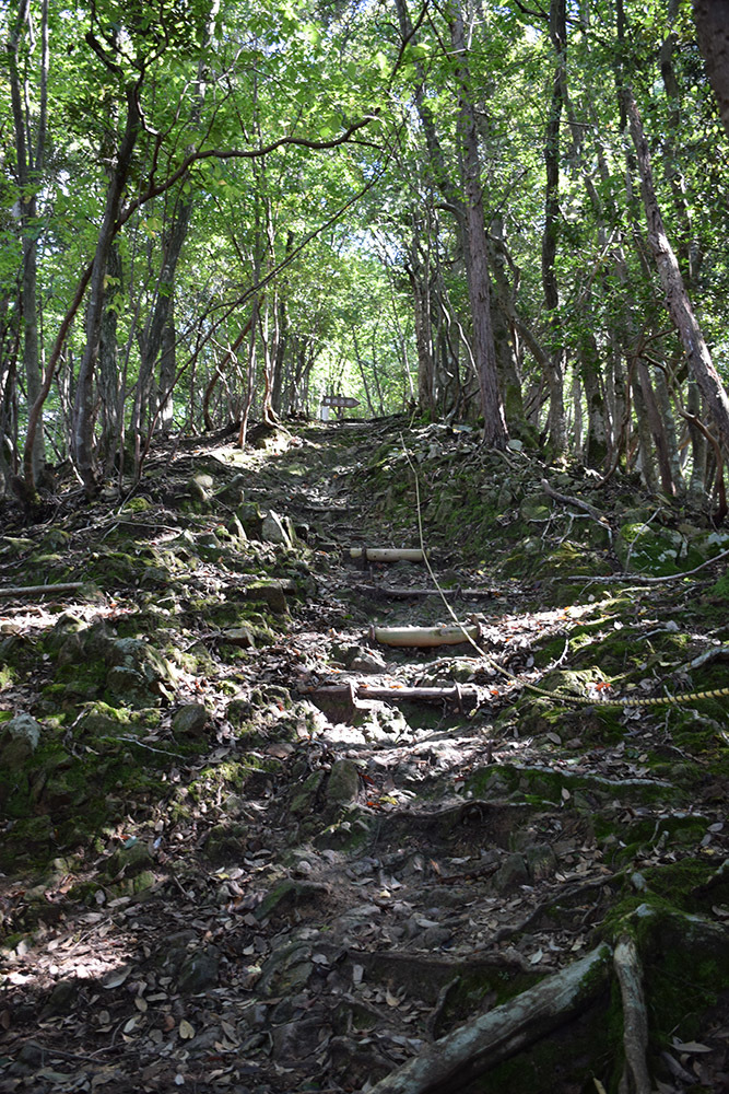 有子山城跡と出石城跡登城記。 その1 ~有子山城登山道~_e0158128_16545807.jpg