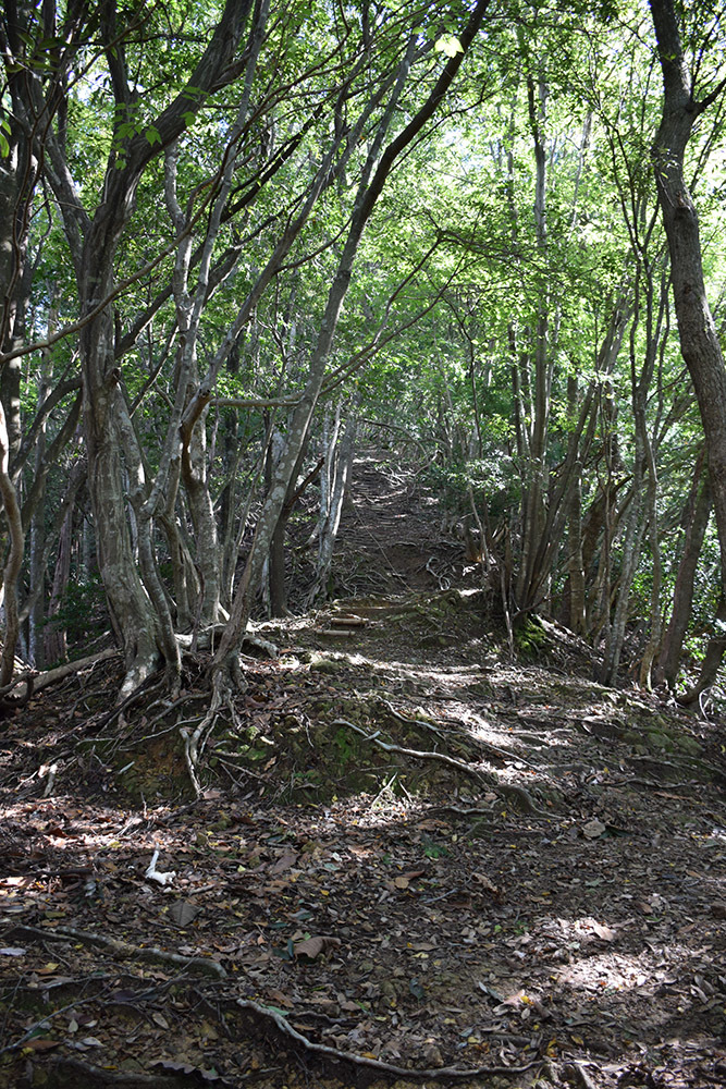 有子山城跡と出石城跡登城記。 その1 ~有子山城登山道~_e0158128_16595635.jpg