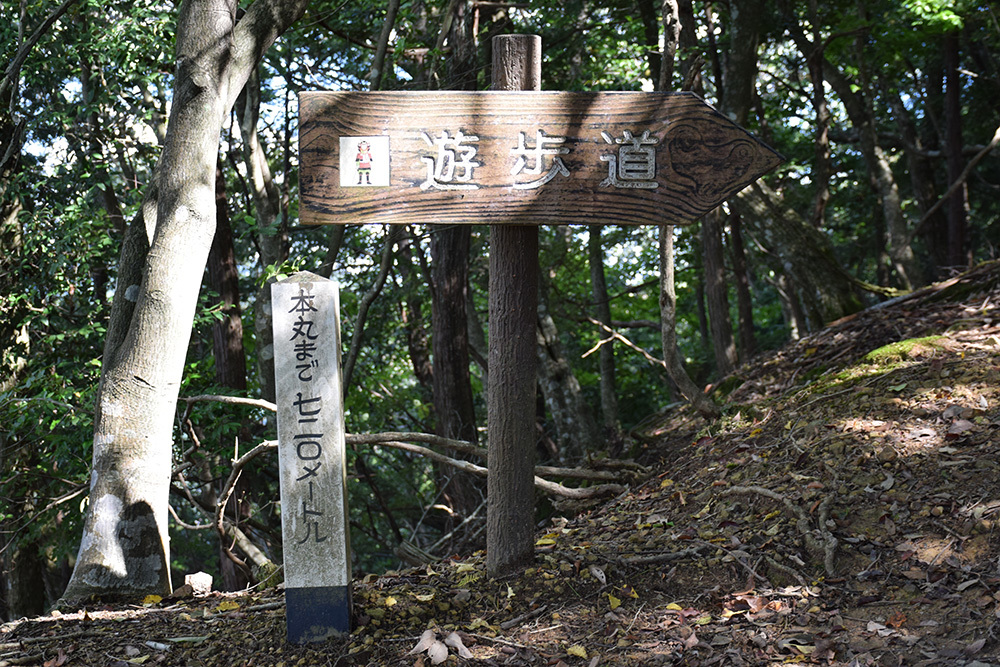 有子山城跡と出石城跡登城記。 その1 ~有子山城登山道~_e0158128_17000099.jpg
