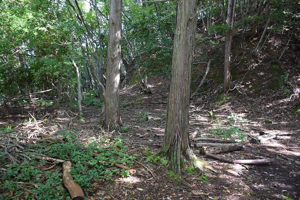 有子山城跡と出石城跡登城記。 その1 ~有子山城登山道~_e0158128_17015525.jpg