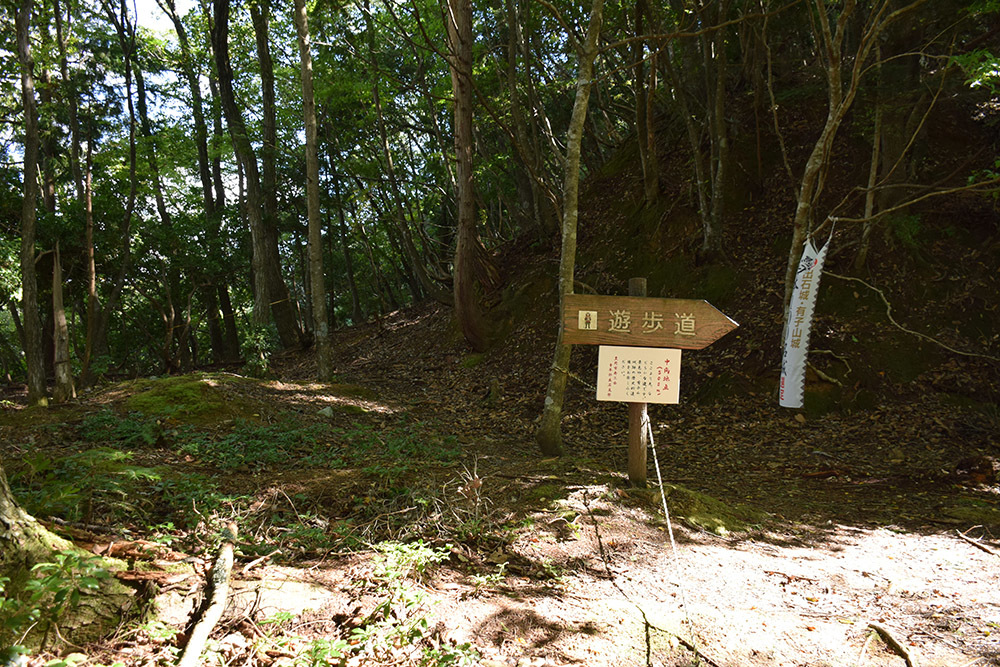 有子山城跡と出石城跡登城記。 その1 ~有子山城登山道~_e0158128_17035653.jpg