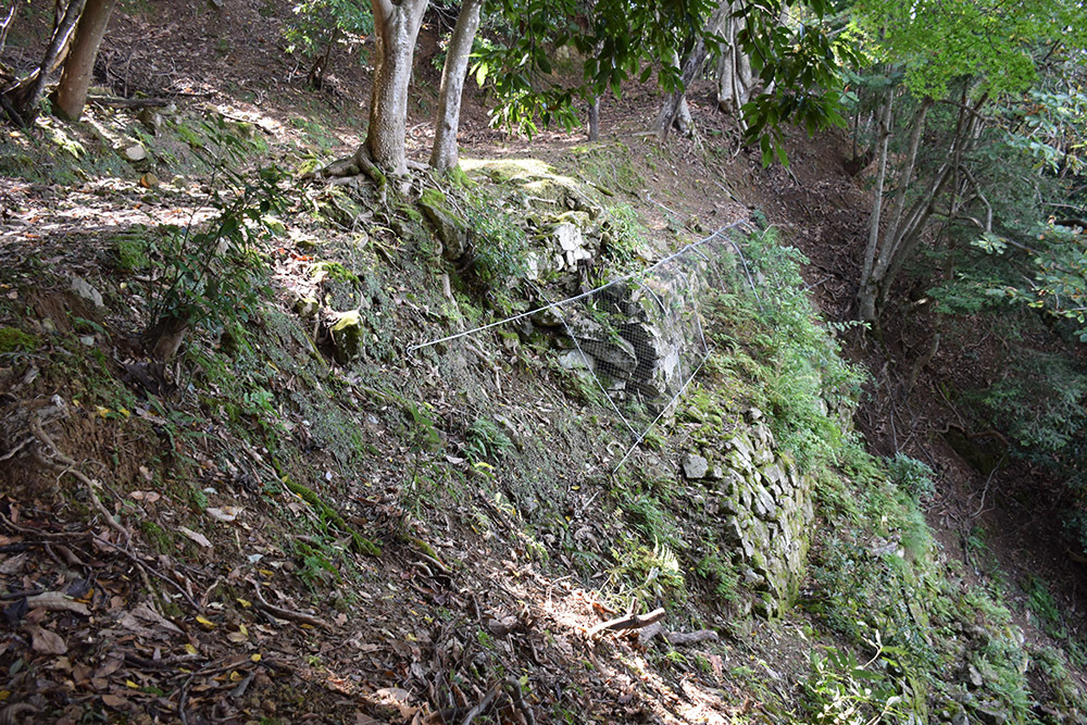 有子山城跡と出石城跡登城記。 その1 ~有子山城登山道~_e0158128_17131461.jpg