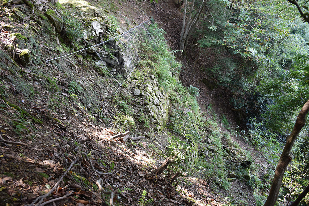 有子山城跡と出石城跡登城記。 その1 ~有子山城登山道~_e0158128_17131861.jpg