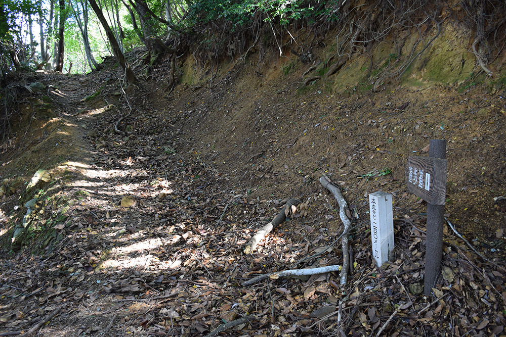 有子山城跡と出石城跡登城記。 その1 ~有子山城登山道~_e0158128_17152300.jpg