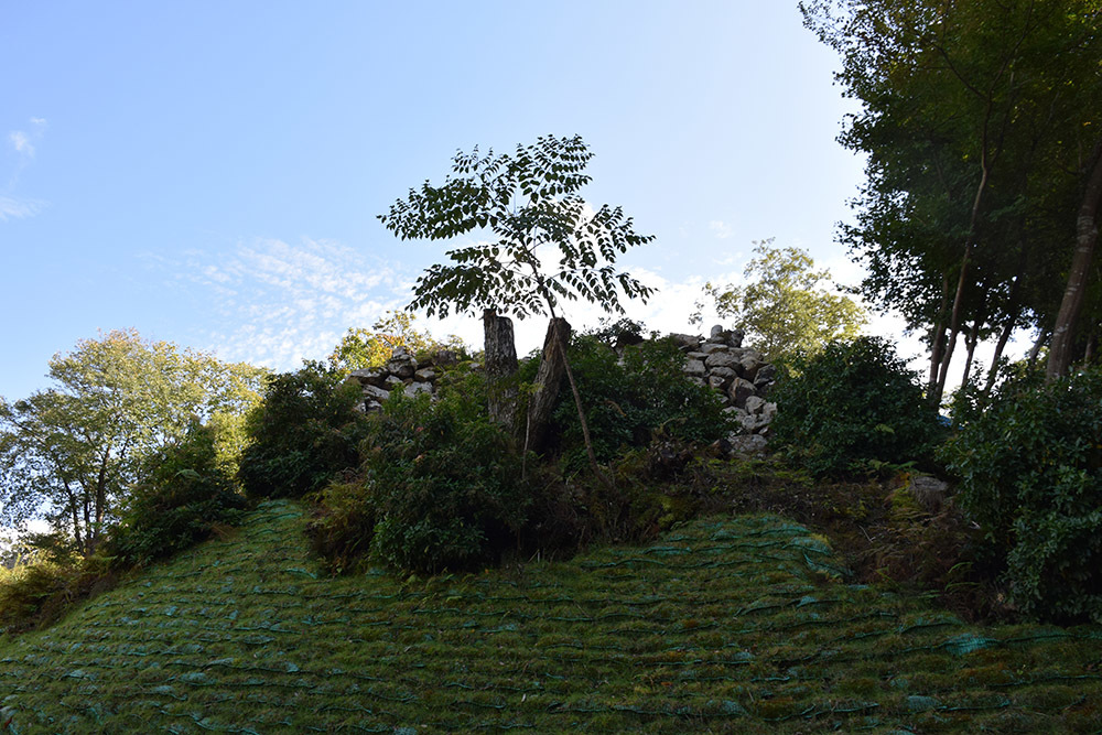 有子山城跡と出石城跡登城記。 その1 ~有子山城登山道~_e0158128_17180191.jpg
