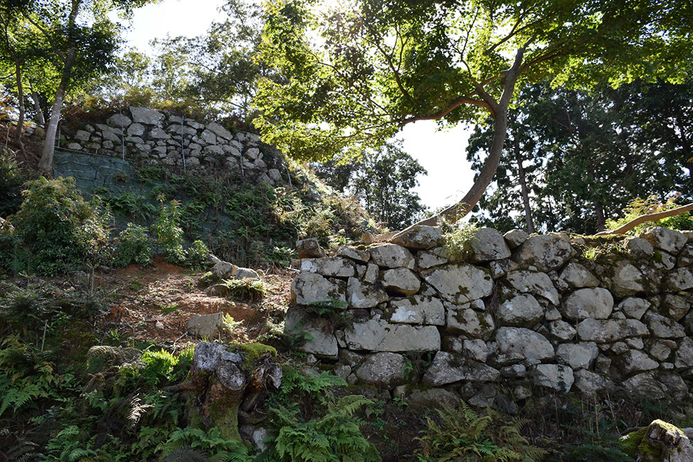 有子山城跡と出石城跡登城記。 その2 ~有子山城二ノ丸・三ノ丸~_e0158128_18041002.jpg