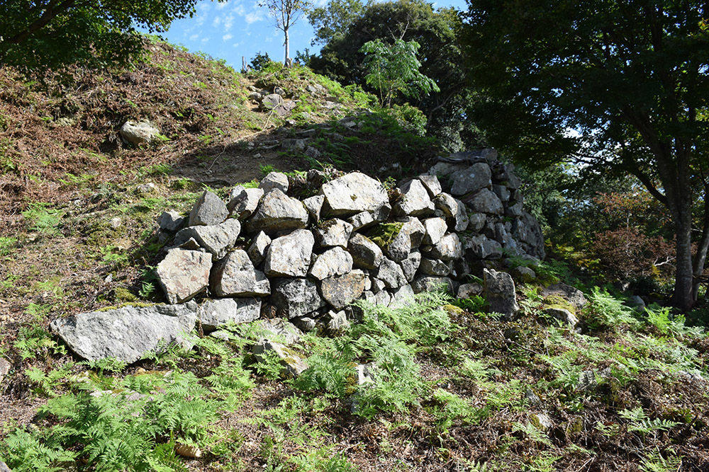 有子山城跡と出石城跡登城記。 その2 ~有子山城二ノ丸・三ノ丸~_e0158128_18322507.jpg