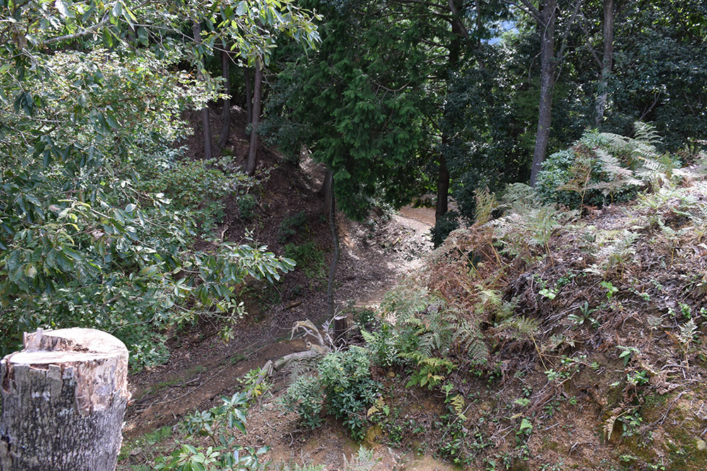 e0158128_19120863.jpg