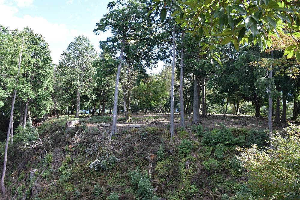 e0158128_19130379.jpg