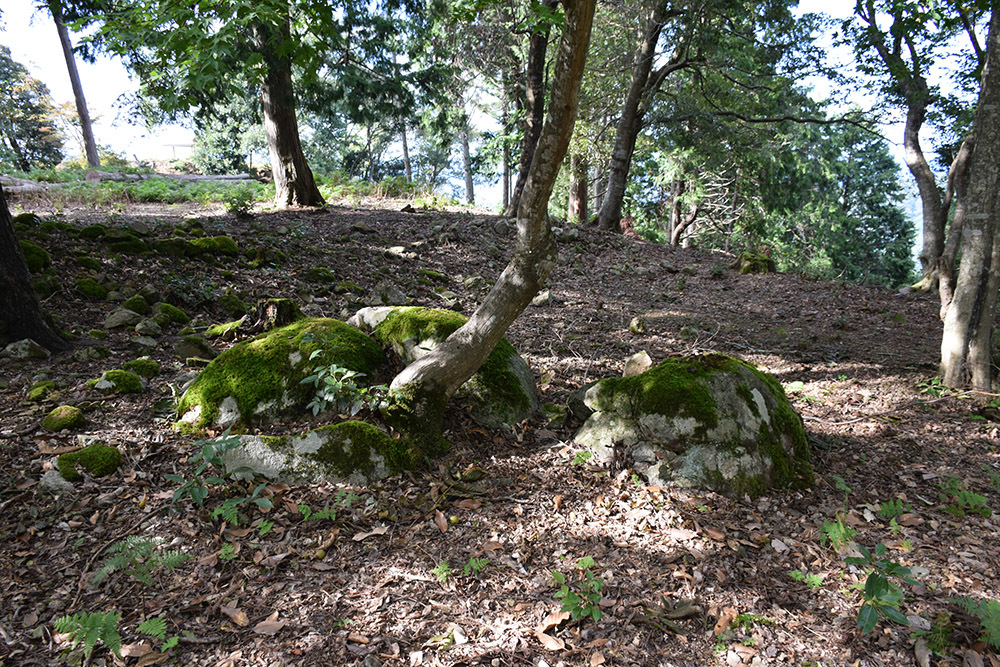 e0158128_19154609.jpg