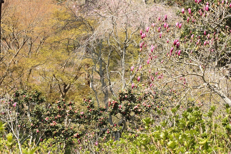 b0368629_14033319.jpg