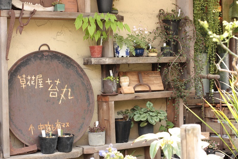 草花屋 苔丸さんへ バスにて鎌倉山へgo 旅の途中にて