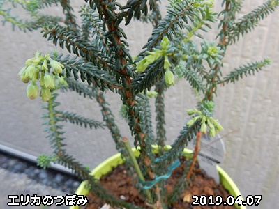 e0033229_12445793.jpg