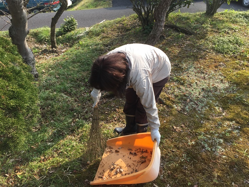 自然の味わい_f0076731_17182582.jpg