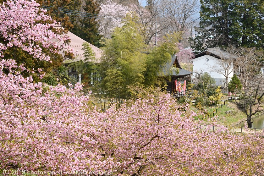 e0362037_10131330.jpg