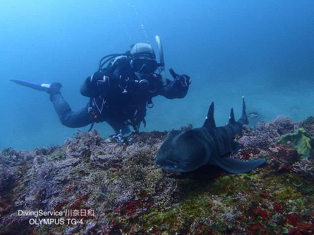 b0163039_17294482.jpg