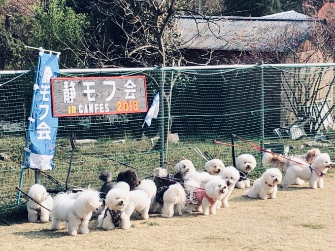 b0369239_17304452.jpeg