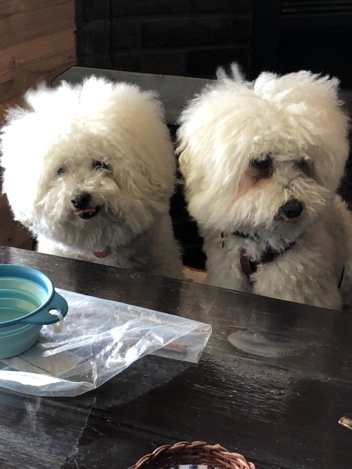 b0369239_17310388.jpeg
