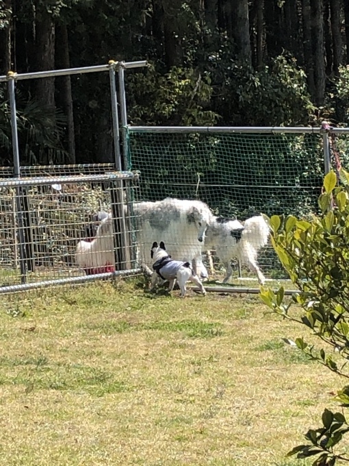 b0369239_17330571.jpeg
