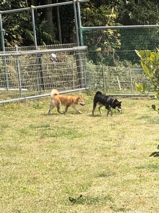 b0369239_17341293.jpeg