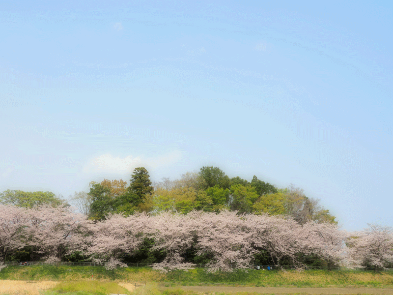 d0290240_16531295.gif