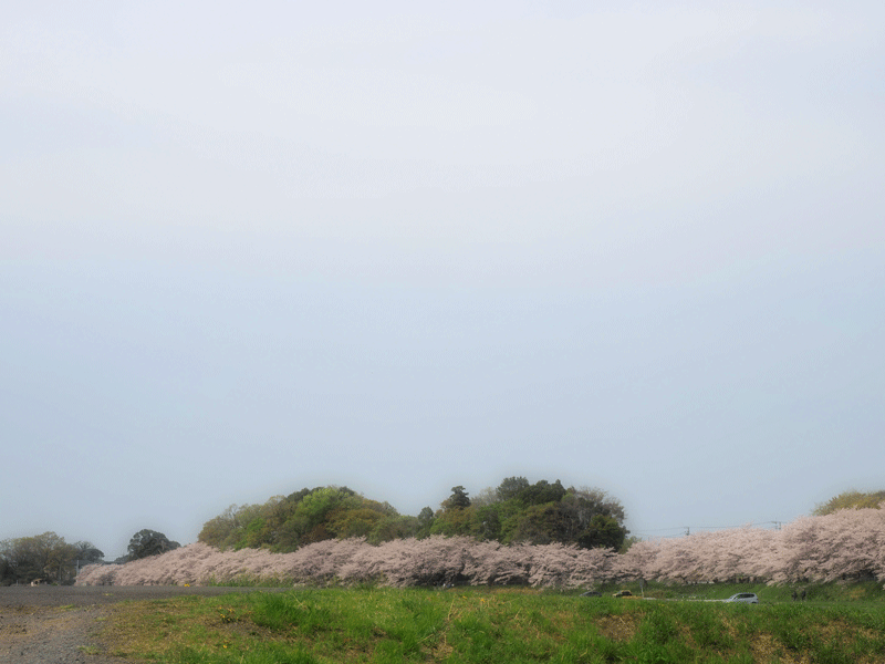d0290240_16533791.gif