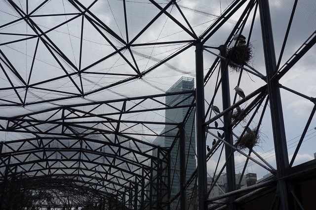 a0087341_07471344.jpg