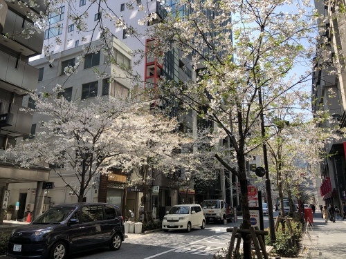 a0158241_08451792.jpeg