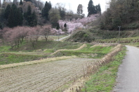 b0260241_17110713.jpg