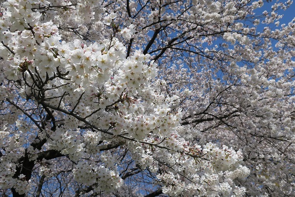 c0147241_07535978.jpg