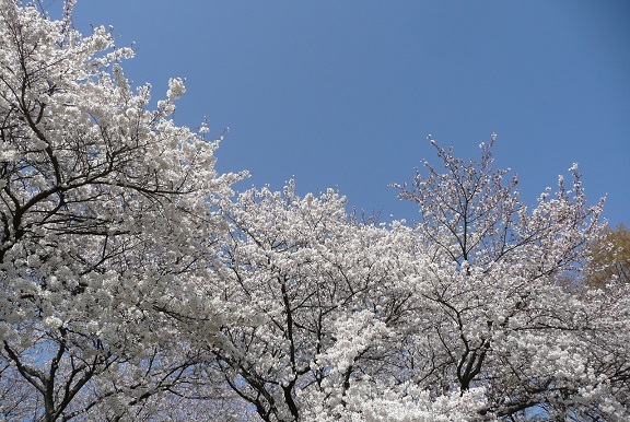 c0147241_07551648.jpg