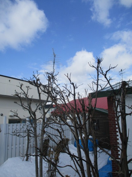 a0279743_08445615.jpg