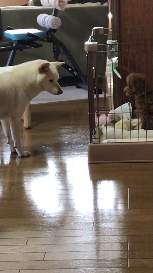 b0340046_22293784.jpeg