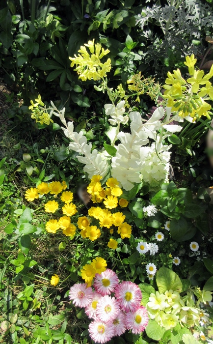 【忙しかった土曜日】_b0009849_11103246.jpg