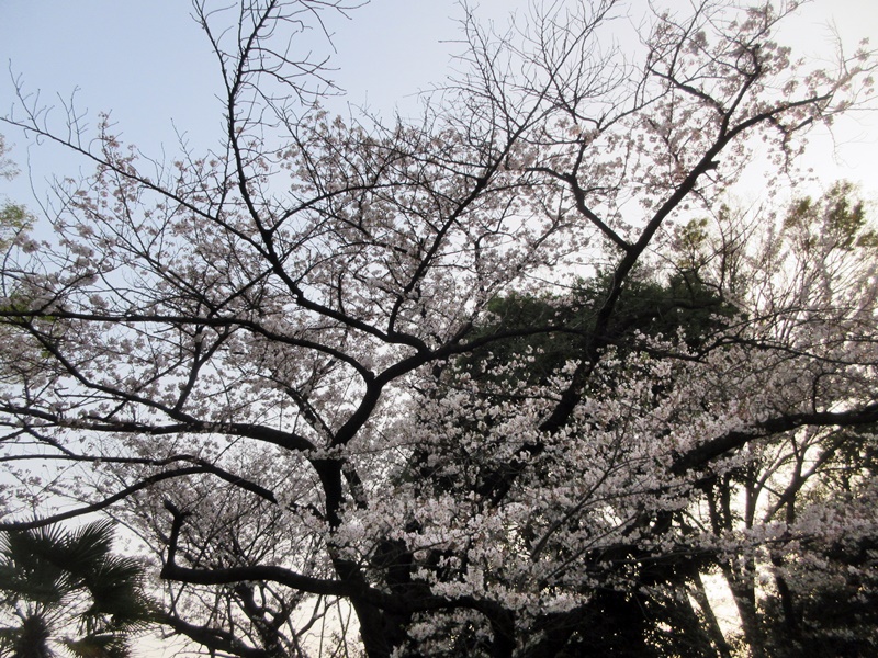 【忙しかった土曜日】_b0009849_1114392.jpg