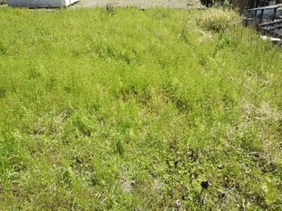 c0330749_20233894.jpg