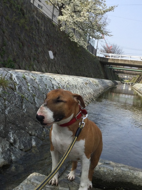 c0073152_16595420.jpg