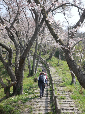 夢の島　岩城島_e0362158_21531147.jpg