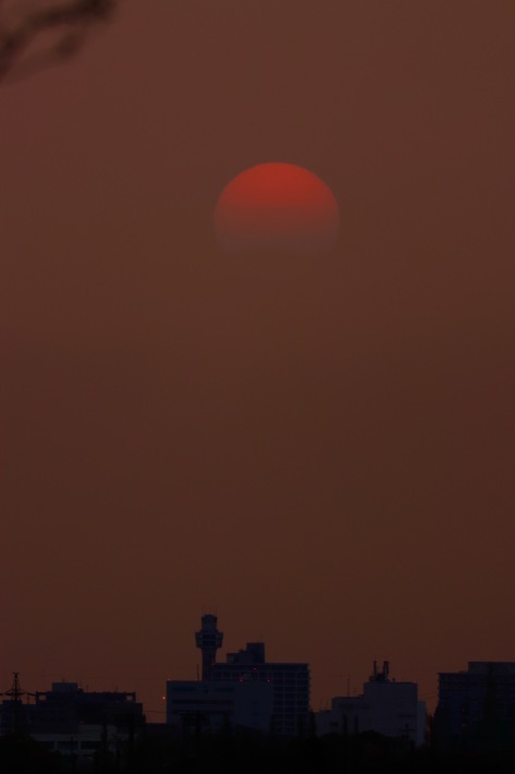 a0248459_15085876.jpg